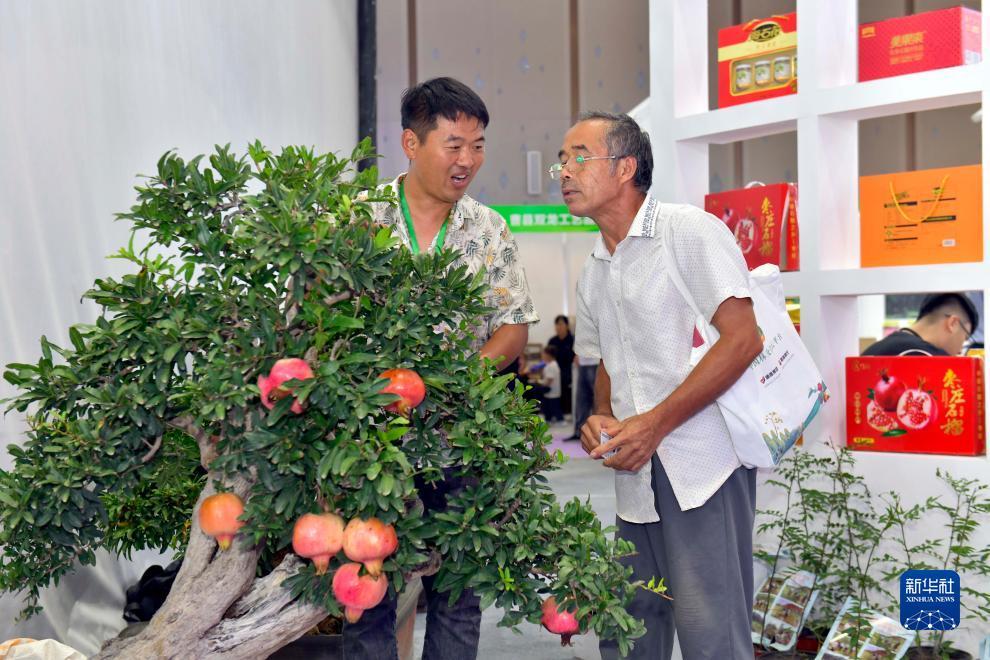 捕鱼游戏单机版破解版